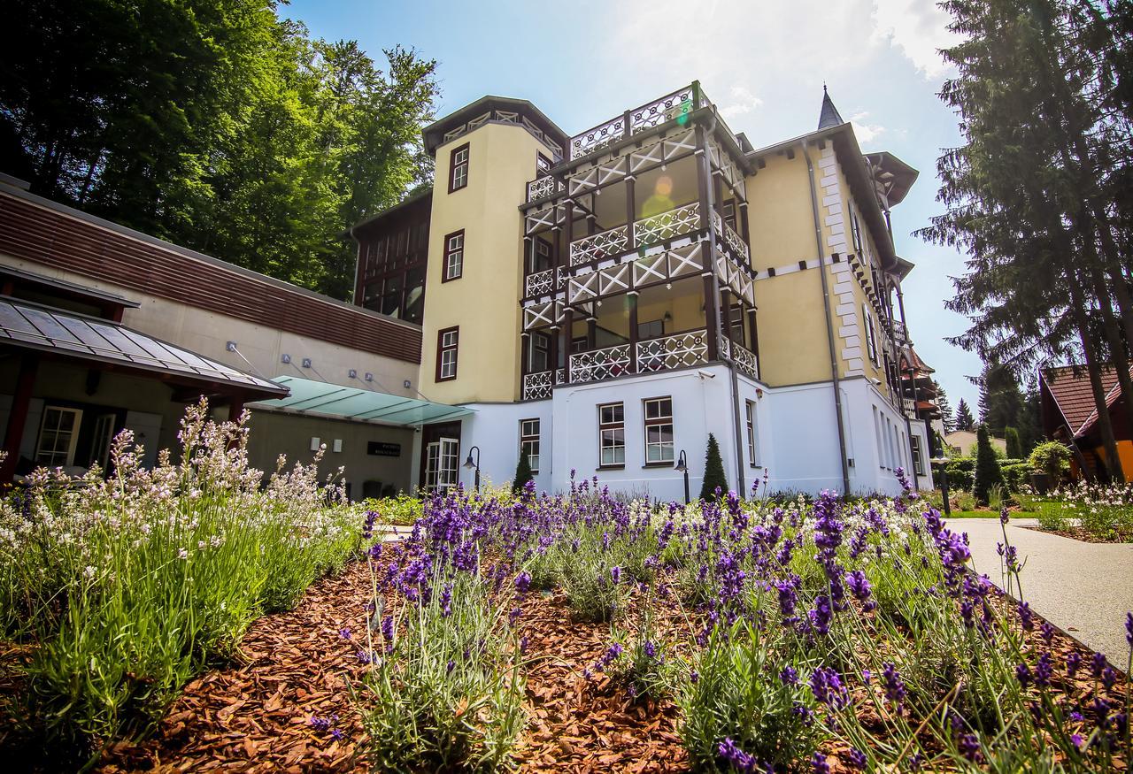 Hotel Pacsirta Совата Экстерьер фото